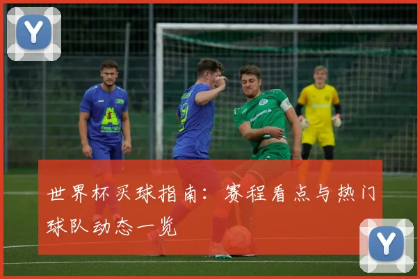 世界杯买球指南：赛程看点与热门球队动态一览