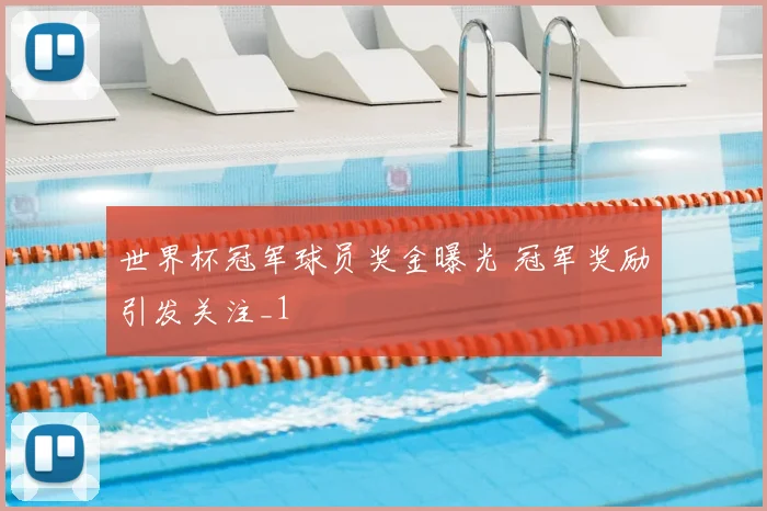 世界杯冠军球员奖金曝光 冠军奖励引发关注_1